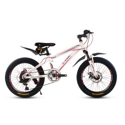 Велосипед KMS Lite MD 170 20" 6 ск